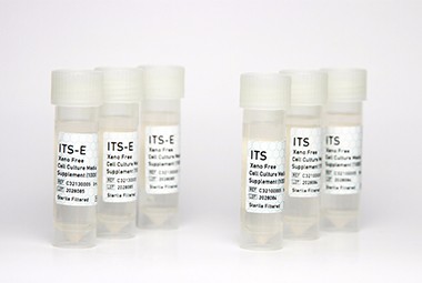 ITS细胞添加物 (100X)