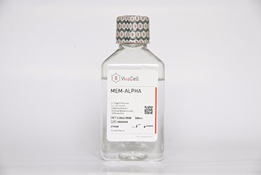 α-MEM（含谷氨酰胺，不含酚红）