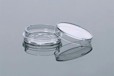 硕华——玻底培养皿