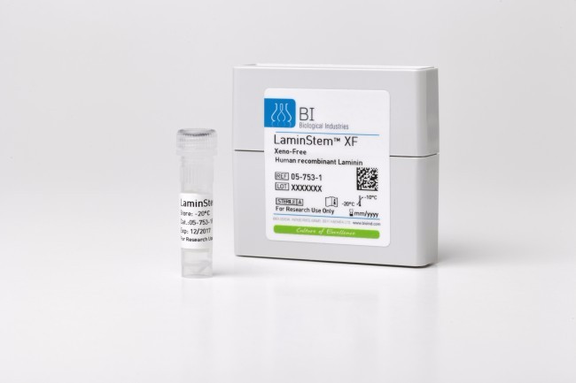 LaminStem™ 521 重组层粘连蛋白