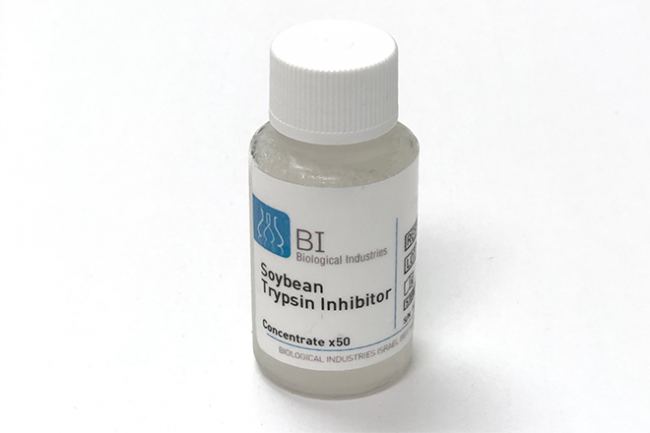 Soybean Trypsin Inhibitor 50X Conc., 5mg/ml 大豆胰蛋白酶抑制剂