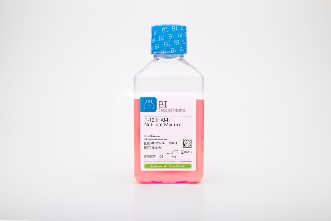 F-12（含谷氨酰胺）