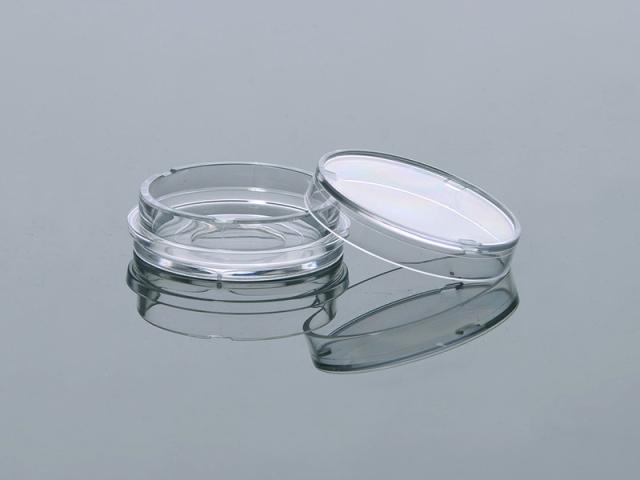 玻底培养皿，玻片直径20mm，独立包装