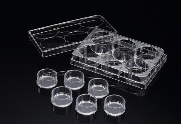 Insert共培养板自立式