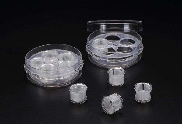 SPL-Insert共培养皿