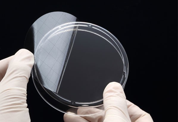 细菌培养网格贴纸