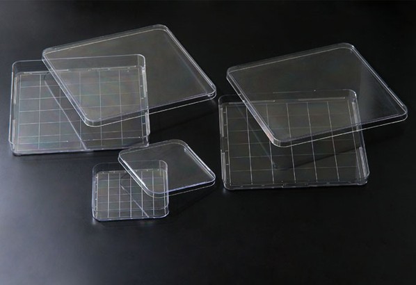 细菌培养方形盘