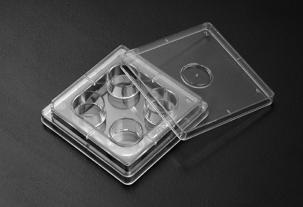 4孔板细胞培养IVF