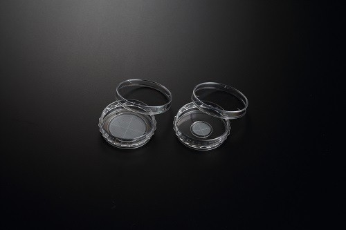 细胞培养3D培养