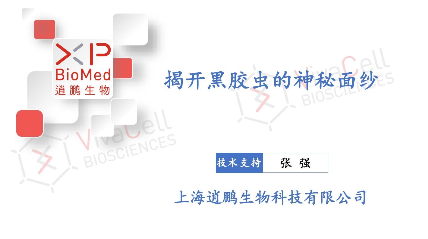 揭开黑胶虫的神秘面纱