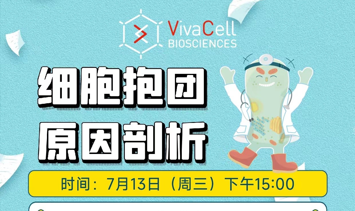 细胞抱团原因剖析