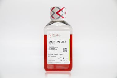 DMEM 高糖培养基，2X 浓缩液（不含 L-谷氨酰胺，不含丙酮酸钠）