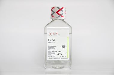 DMEM 高糖培养基（不含丙酮酸钠、酚红、谷氨酰胺）