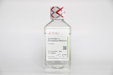 Schneider's 果蝇培养基（含 L-谷氨酰胺）