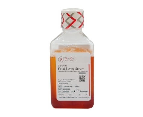 金牌胚胎干细胞专用胎牛血清