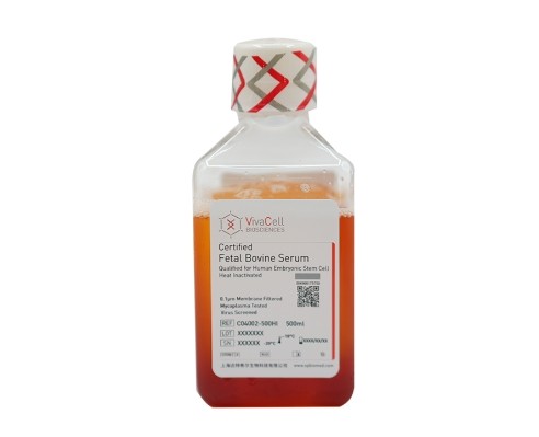 热灭活胚胎干细胞专用胎牛血清