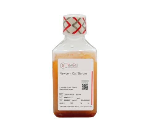 新生牛血清
