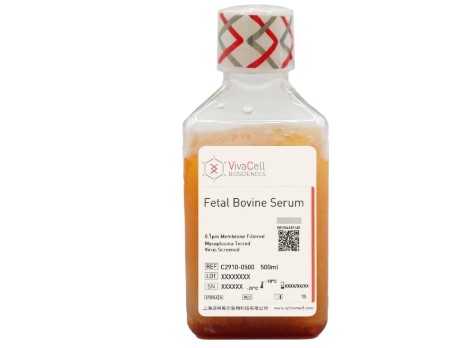 标准胎牛血清