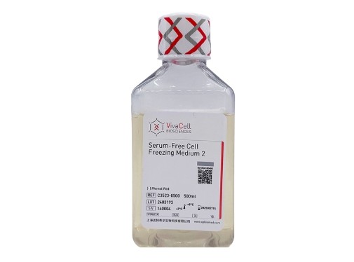 无血清细胞冻存液 2号（无酚红）