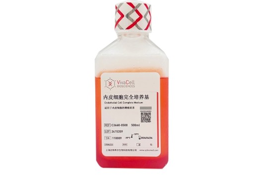 内皮细胞完全培养基