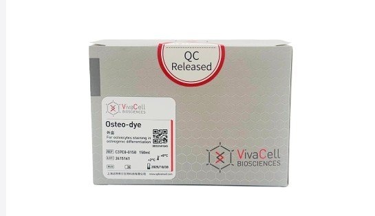 间充质干细胞成骨分化染色试剂盒