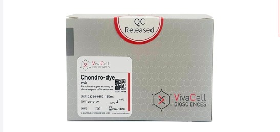 间充质干细胞成软骨分化染色试剂盒