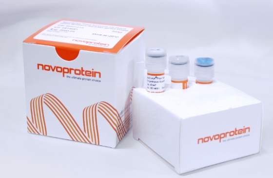 NovoStart® SYBR High-Sensitivity qPCR  SuperMix
